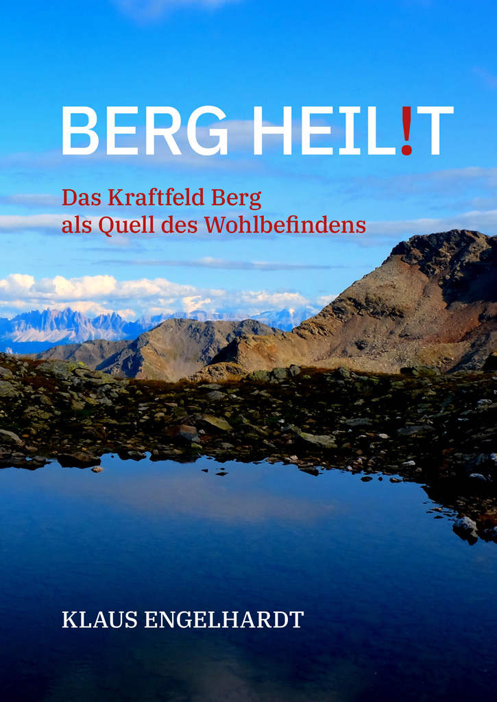 Berg heilt Buchcover
